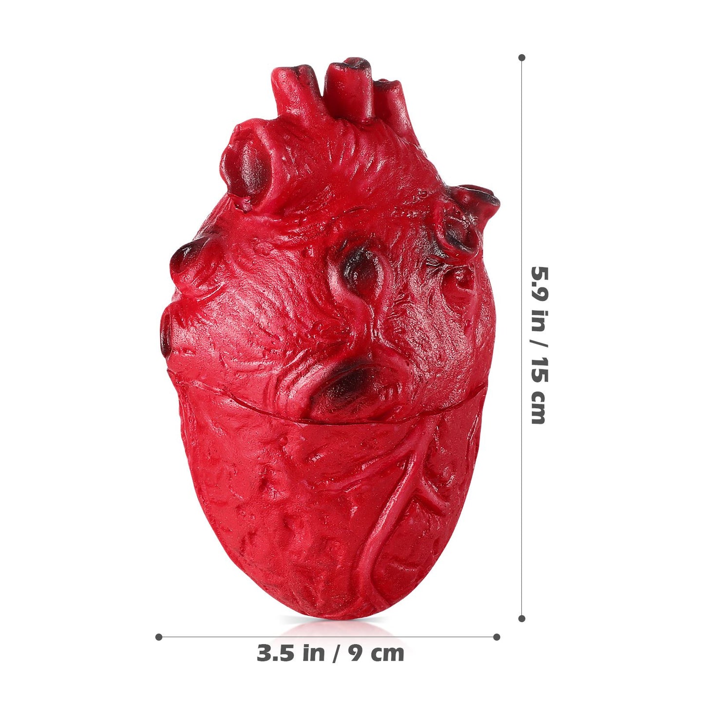 Realistic Halloween Blood Heart - Creepy Party Prop 2025