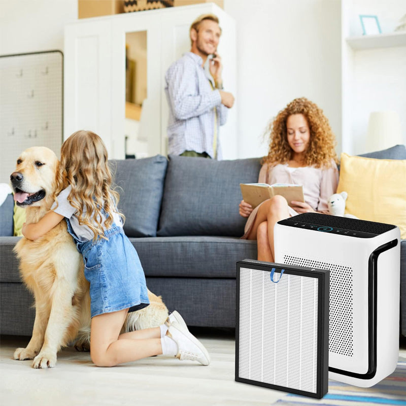HEPA Filter for MORENTO HY4866 Air Purifier Replacement