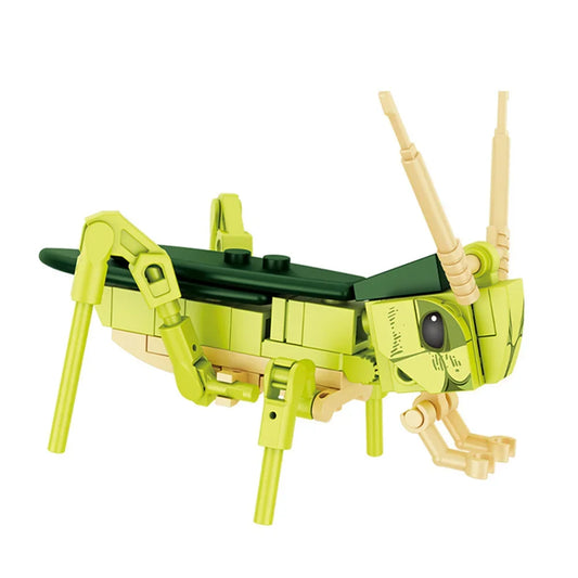 Insect Model Building Blocks Set - Bee, Ant, Butterfly & More