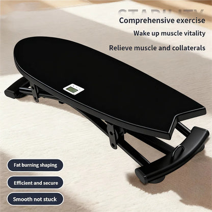 Ski Simulator Balance Board 