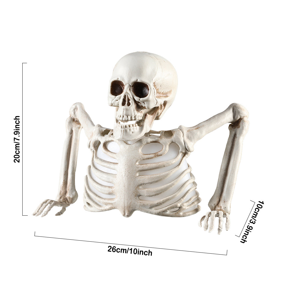 Halloween Glowing Skull Skeleton - Spooky Outdoor Decor