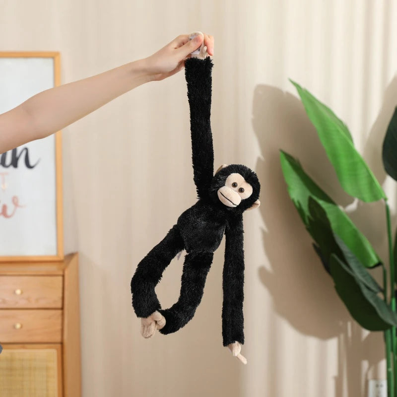 50cm chimpanzee