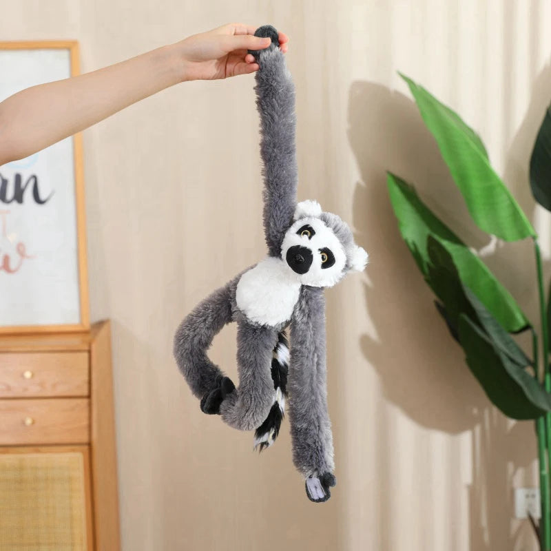 50cm lemur
