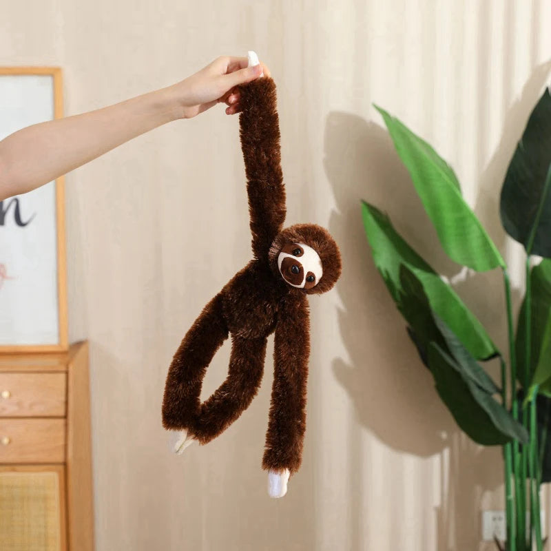 50cm sloth